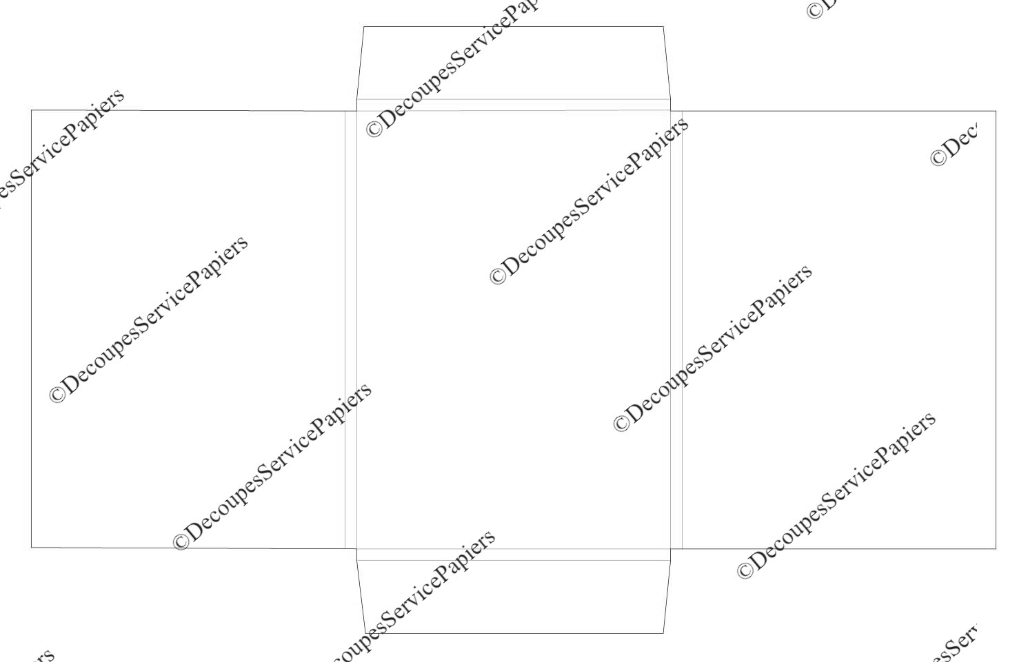 CHEMISE F 215 X 300 R8 O 660 X 415.jpeg